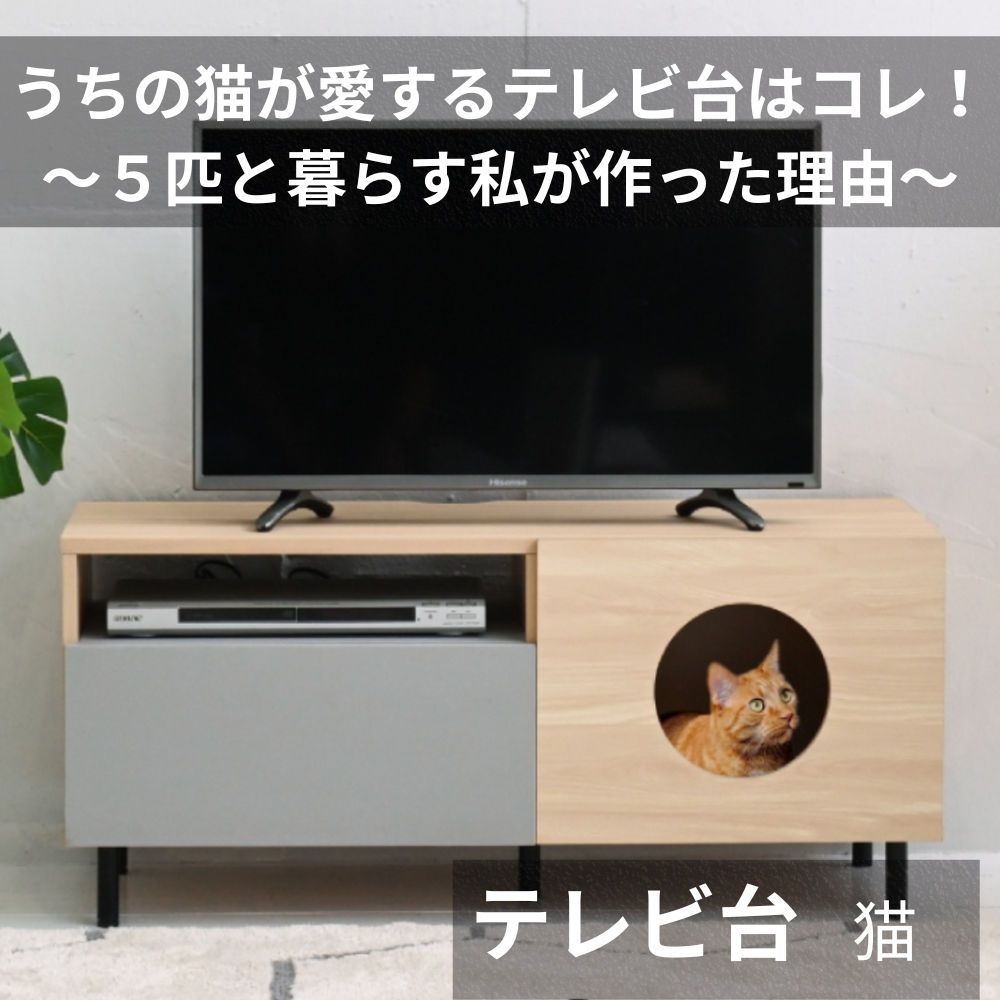 テレビ台 猫